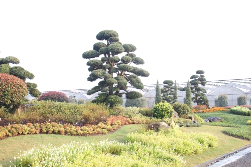 園林城市_國家園林城市