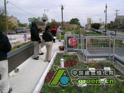 “活力城市”會(huì)議突出了屋頂和墻面綠化的成功