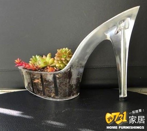 創(chuàng)意獨特的高跟鞋盆栽散發(fā)出女性特有的魅力