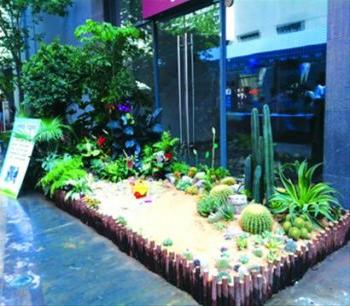 上海徐匯擬推廣校園生態(tài)植物園