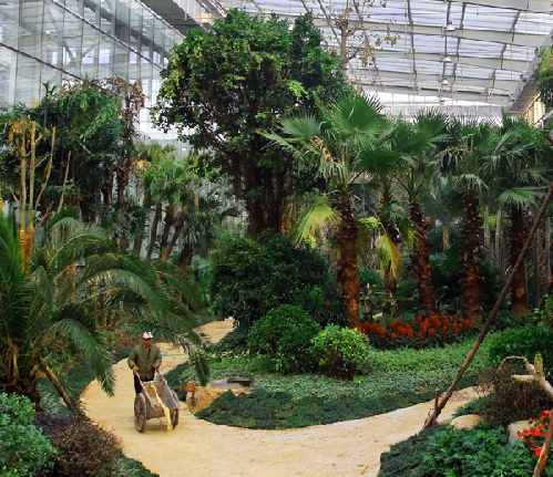 河北：保定生態(tài)園添新彩 90余種熱帶植物入駐植物館