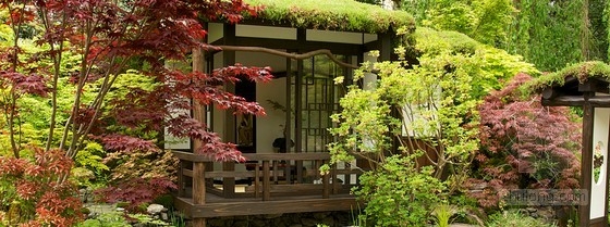 2013切爾西花展金獎：日本壁龕花園