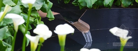 2013切爾西花展金獎(jiǎng)：東村花園