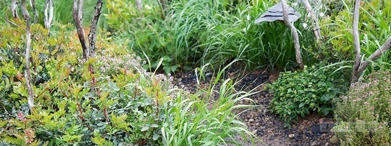 2013切爾西花展最具新意獎(jiǎng)——“浴火重生”花園