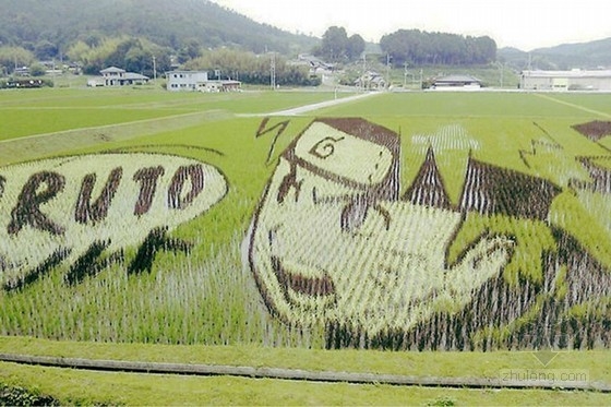 日本田舍館村村民設計的巨型稻田插畫藝術