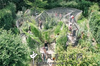 2014法國國際花園節(jié):LES FLEURS MAUDITES