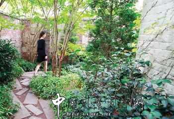 ASLA專業獎:美國布魯克林“綠洲”住宅景觀