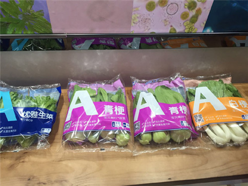 “優雅蔬菜”誕生記：訪全球最大植物工廠