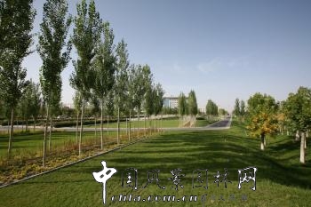 章俊華：新疆巴州和碩政府廣場(chǎng)