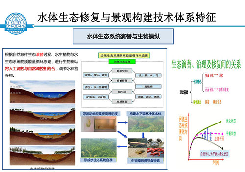 張飲江教授：水質生態(tài)修復景觀構建