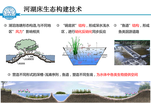 張飲江教授：水質生態(tài)修復景觀構建