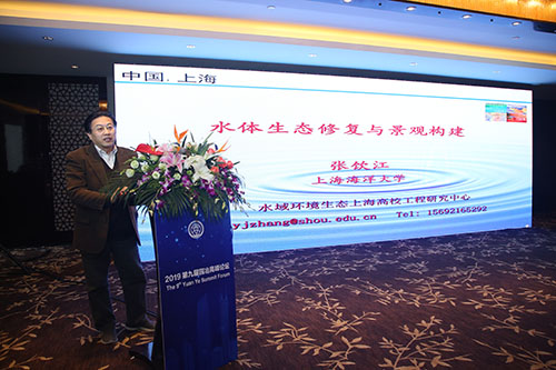 張飲江教授：水質生態(tài)修復景觀構建
