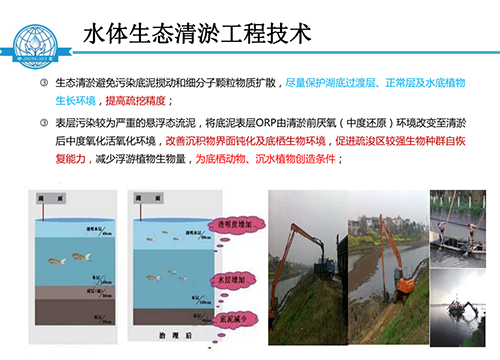 張飲江教授：水質生態(tài)修復景觀構建