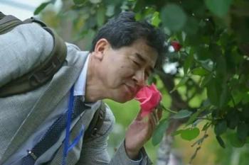李樹(shù)華：園藝療法保持復(fù)工身心健康