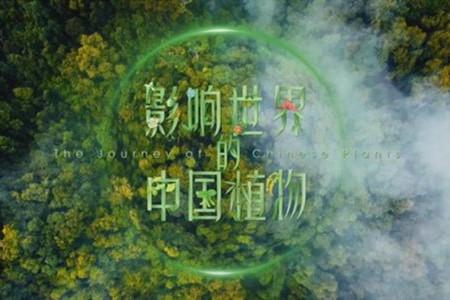 環(huán)境文化產(chǎn)品，再豐富些