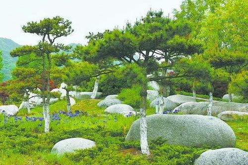 謹(jǐn)防“移石造景”成形象工程