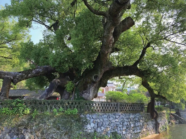 俞孔堅(jiān)：欲望與景觀