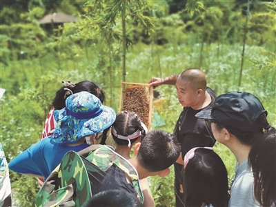 在國家公園開展自然教育如何體現公益屬性？