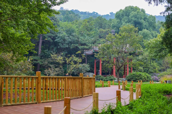 北京香山公園設(shè)立首個(gè)古樹保護(hù)示范區(qū)