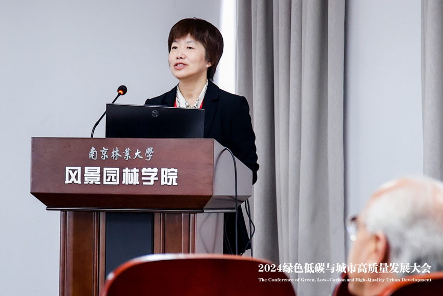 王衛(wèi)青：城市更新的價值提升
