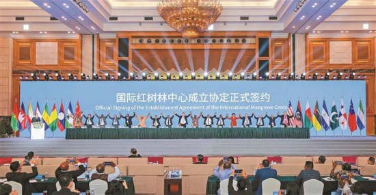 國(guó)際紅樹(shù)林中心在深圳揭牌