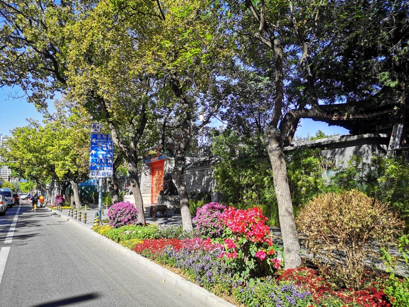 朝陽區(qū)打造北京市首個花園式示范街區(qū)